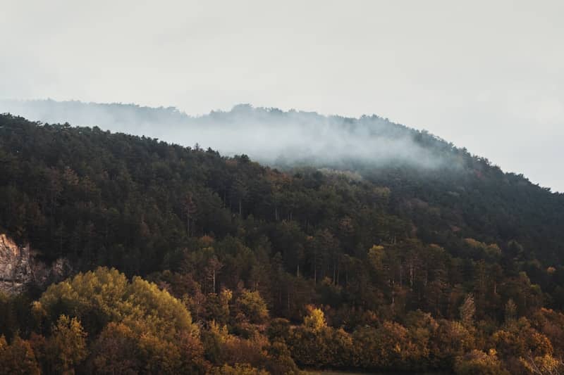 Fog covers a forested mountain ridge.