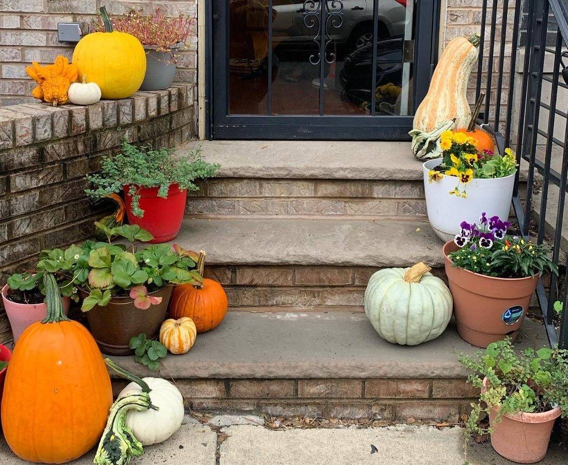 A Philadelphia rowhouse stoop decorated with pumpkins