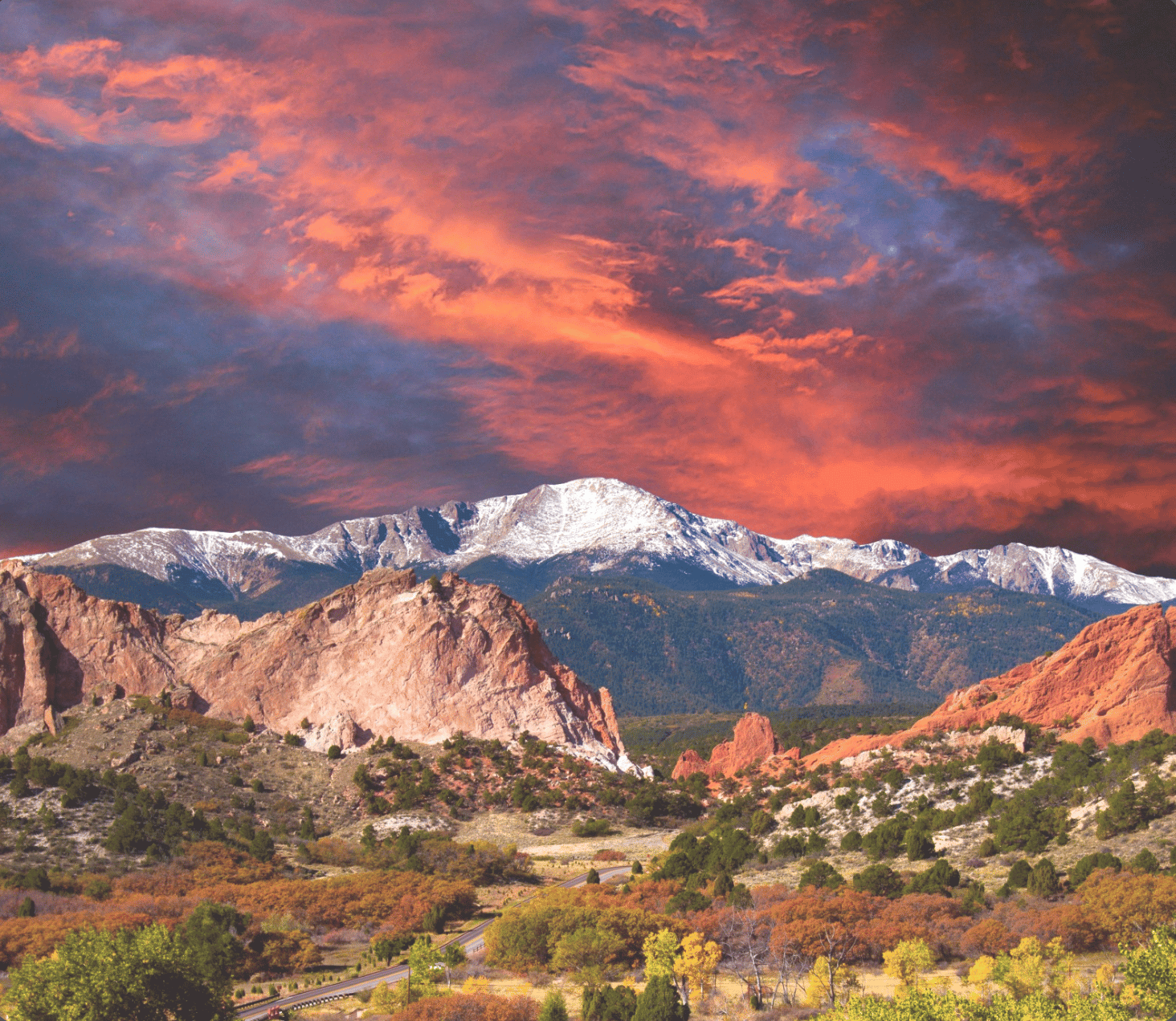 Hosted at Elevated Healing Center in Manitou Springs, Colorado a licensed natural medicine facility at the base of Pikes Peak.