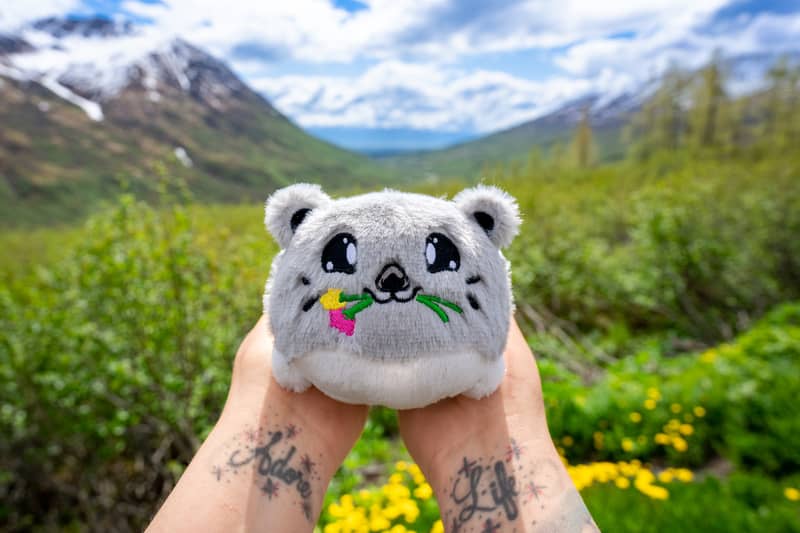 Hatcher Plushie at Hatcher Pass