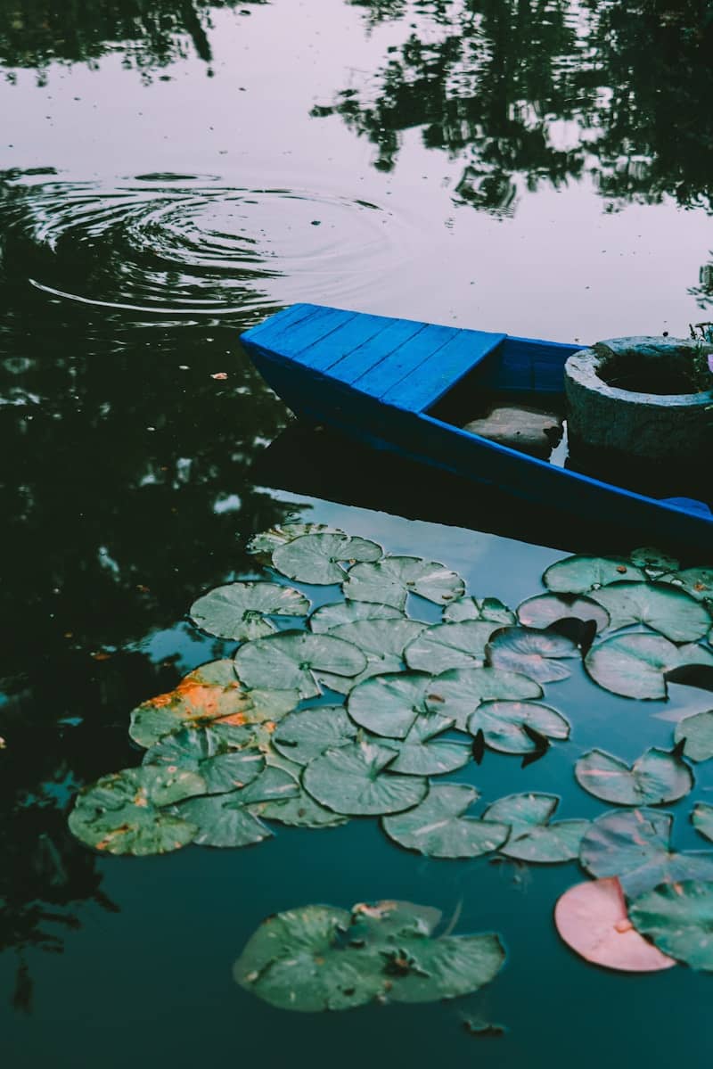 Blue boat floats beside lily pads in dark water.
