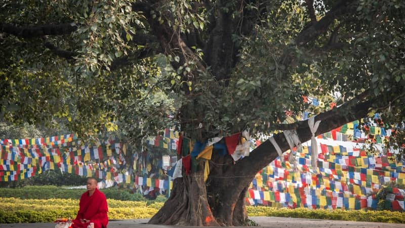 A woman walking down a street past a tree