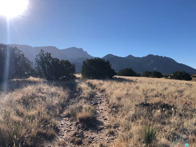 Inspired Sunlit Path to Dreaming Dragon Mountain