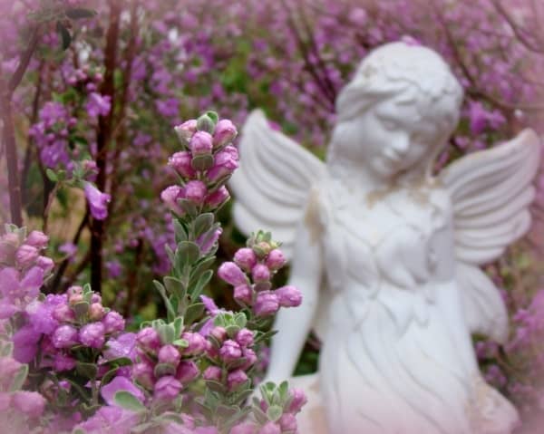 statue of an angel outdoors surrounded by purple flowered shrubs