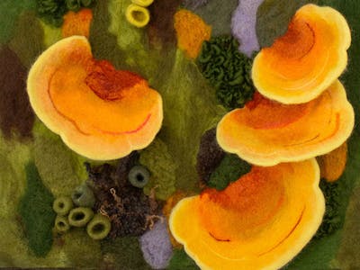 Needle felted fungi art by Amy Reader