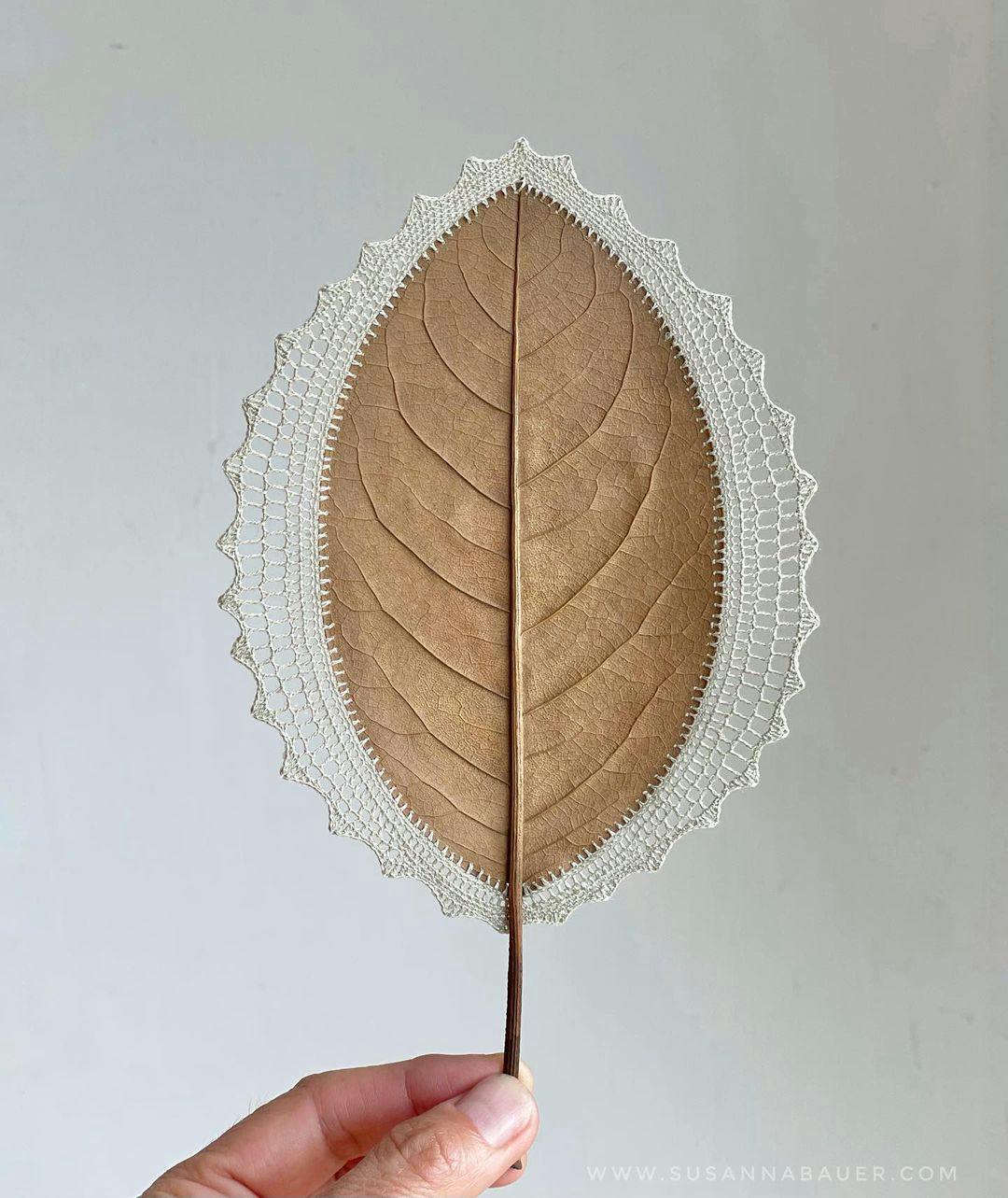 Dried leaf with crocheted thread around it 