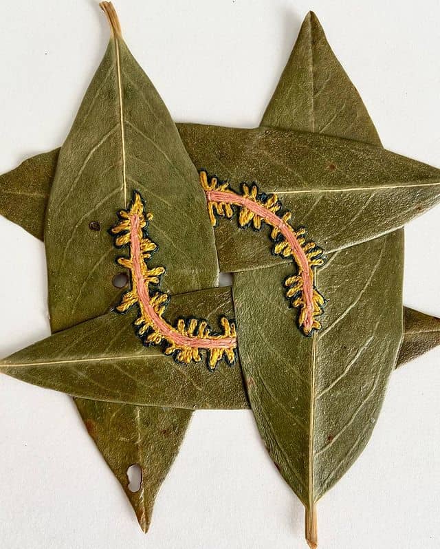 Embroidery on leaves by Hillary Waters Fayle