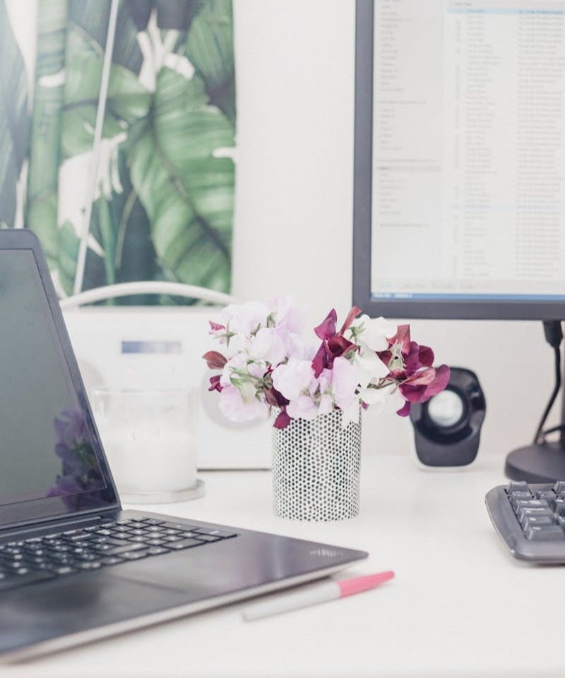 pink and red petaled flower on vase beside computers