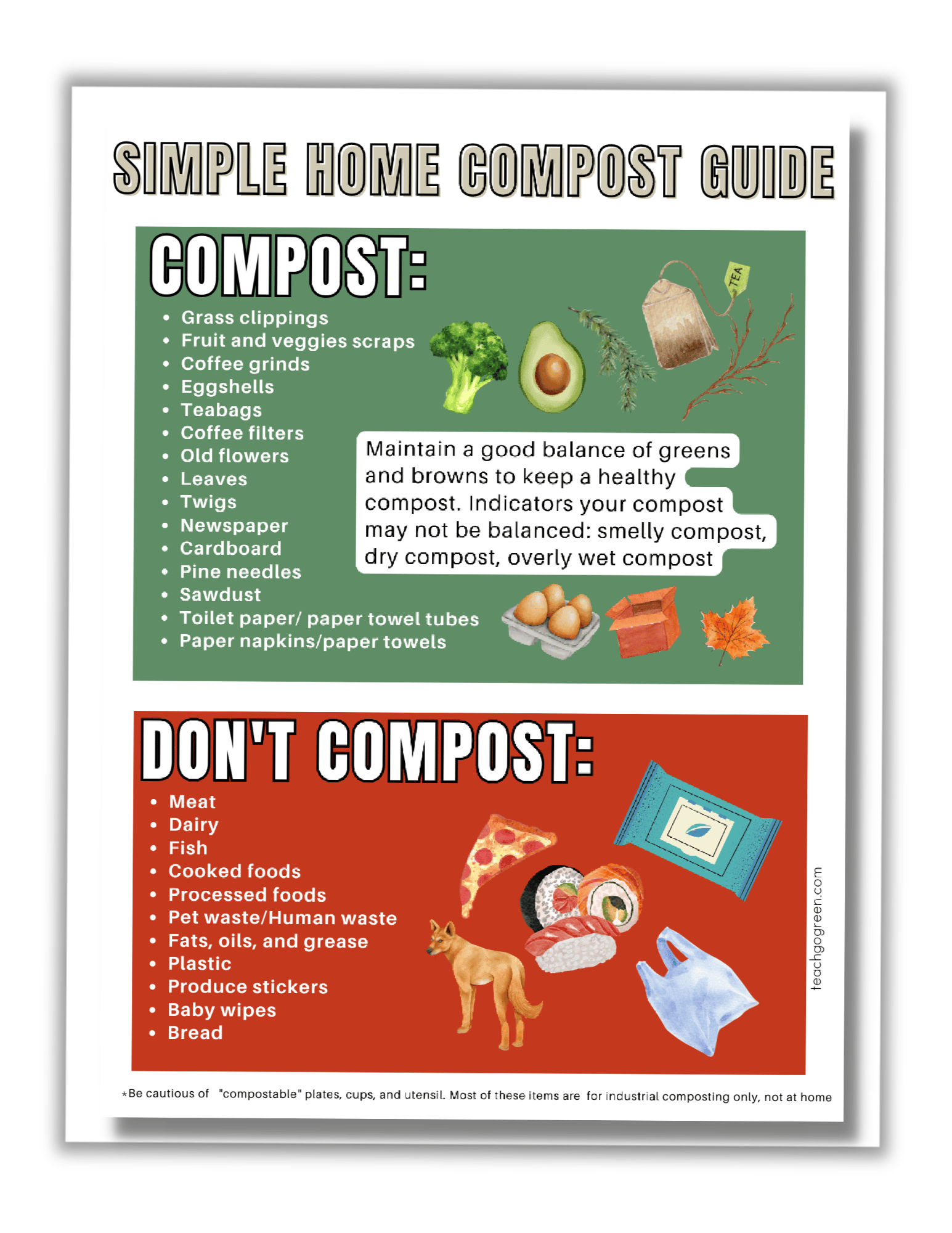 Composting Guide for Beginners