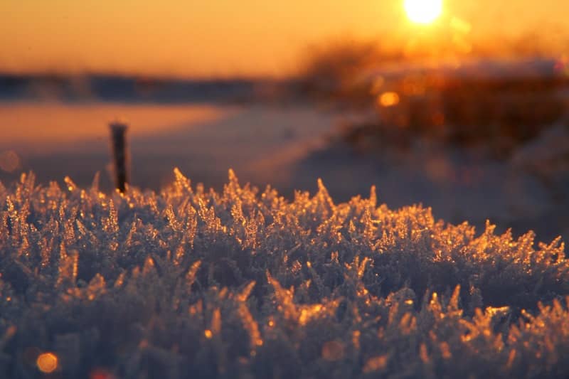 selective focus photo of winter sunrise