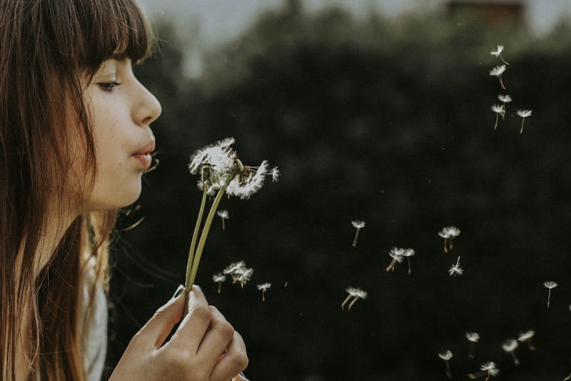 Girl blowing on a dandelion and the seeds spreading with the wind