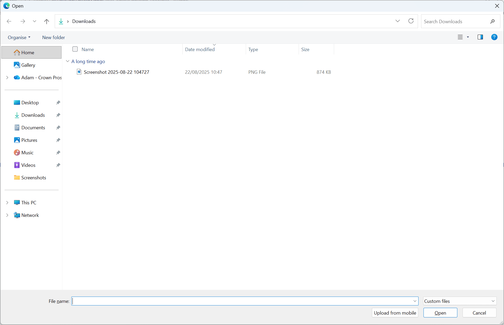 Windows file dialog hiding invalid files, with a dropdown filter in the bottom right