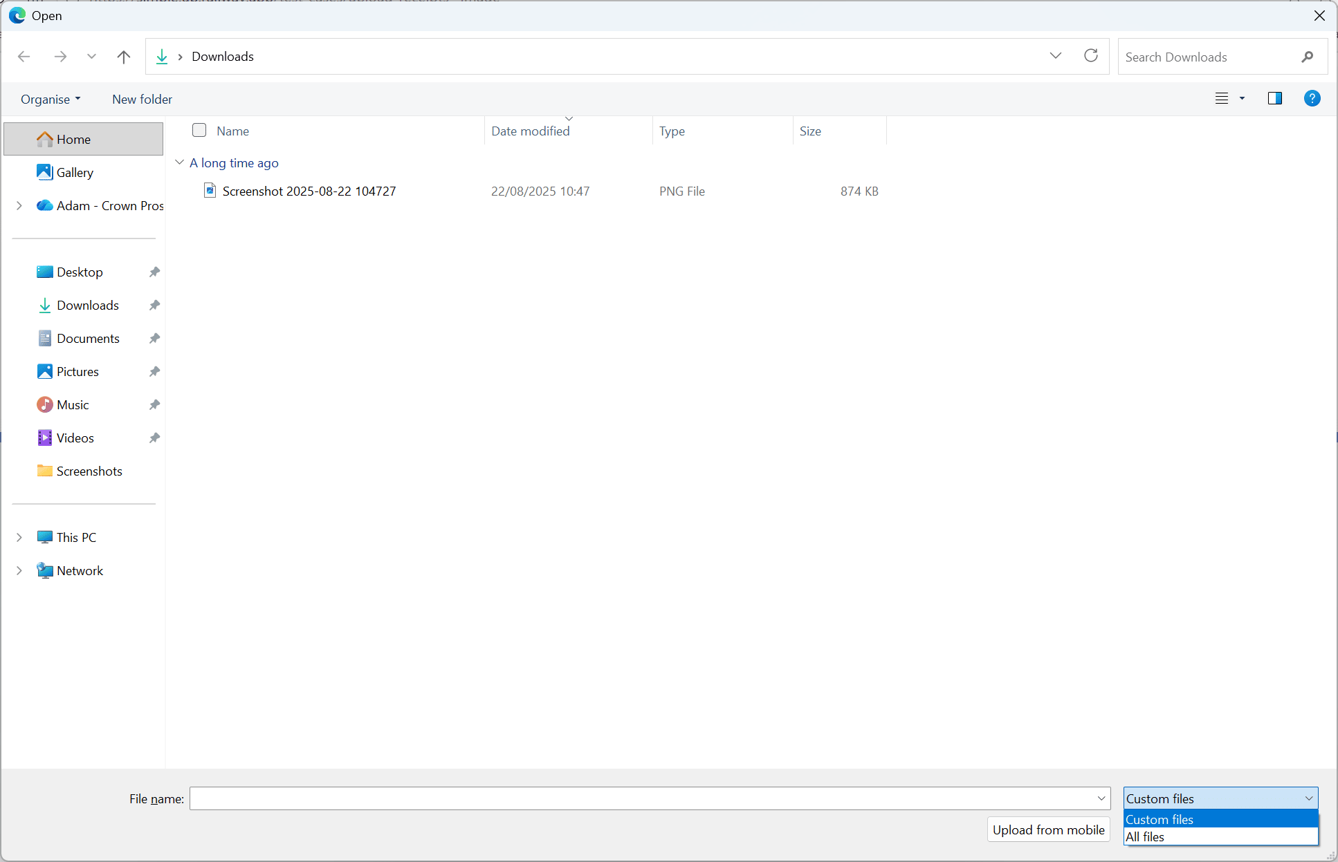 Windows file dialog after removing the filter
