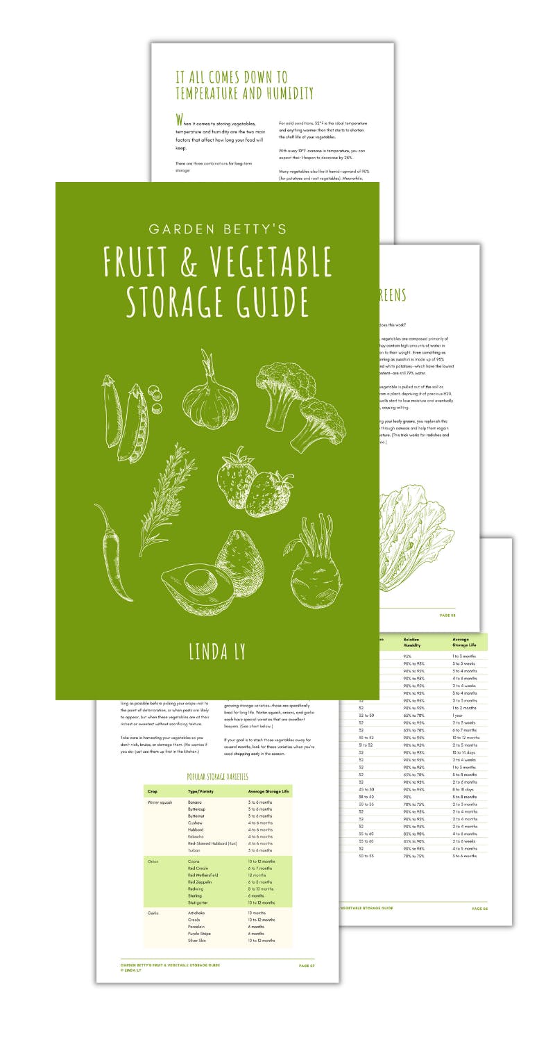 Garden Betty's Fruit & Vegetable Storage Guide