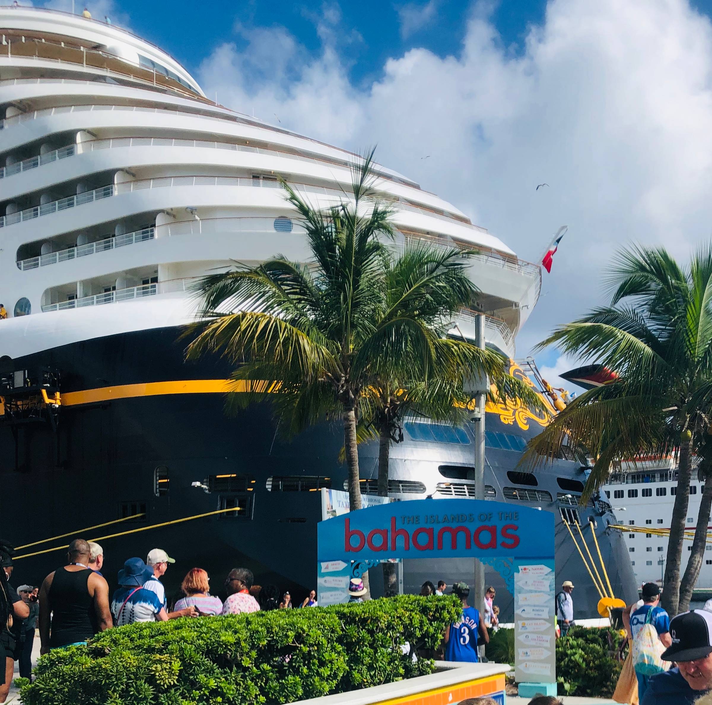 UPDATED] The Ultimate Guide to Disney Cruise Fish Extenders