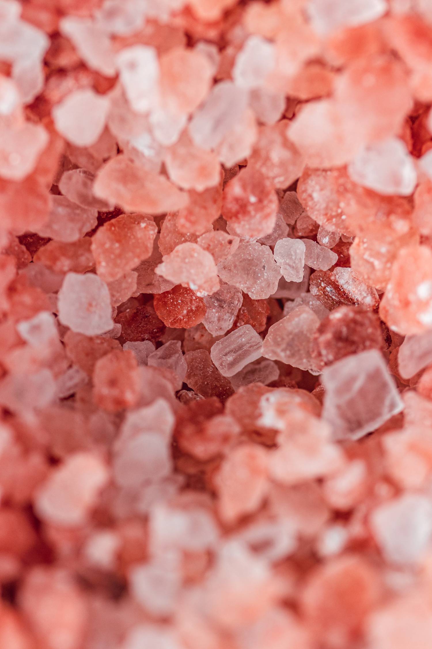 Free Vegan Pantry Essentials PDF