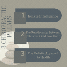 Chiropractic Social Media Management Monthly Content Membership