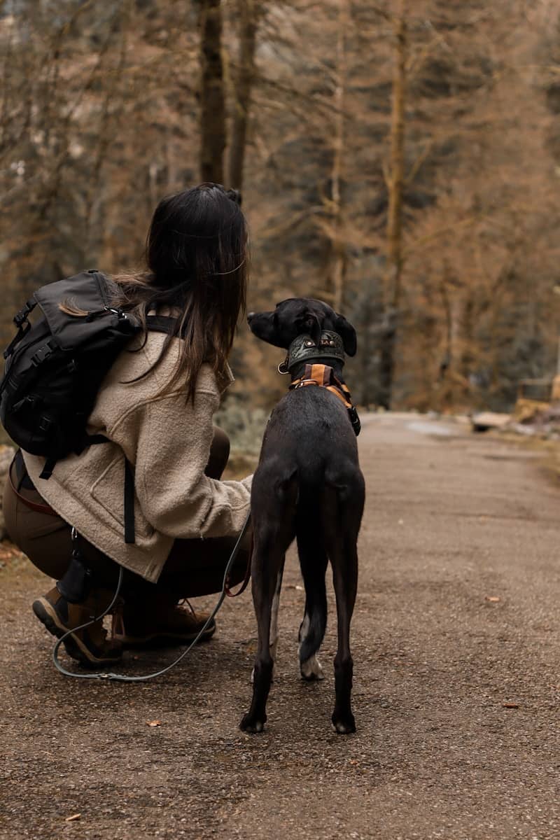A woman and dog enjoy a walk in the woods.