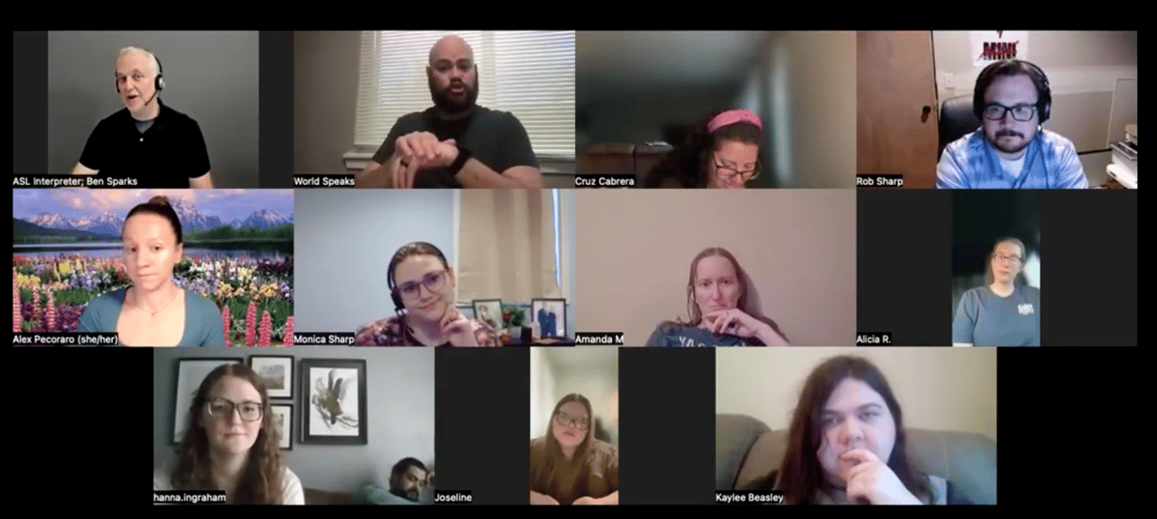 A zoom meeting with multiple people participating. 