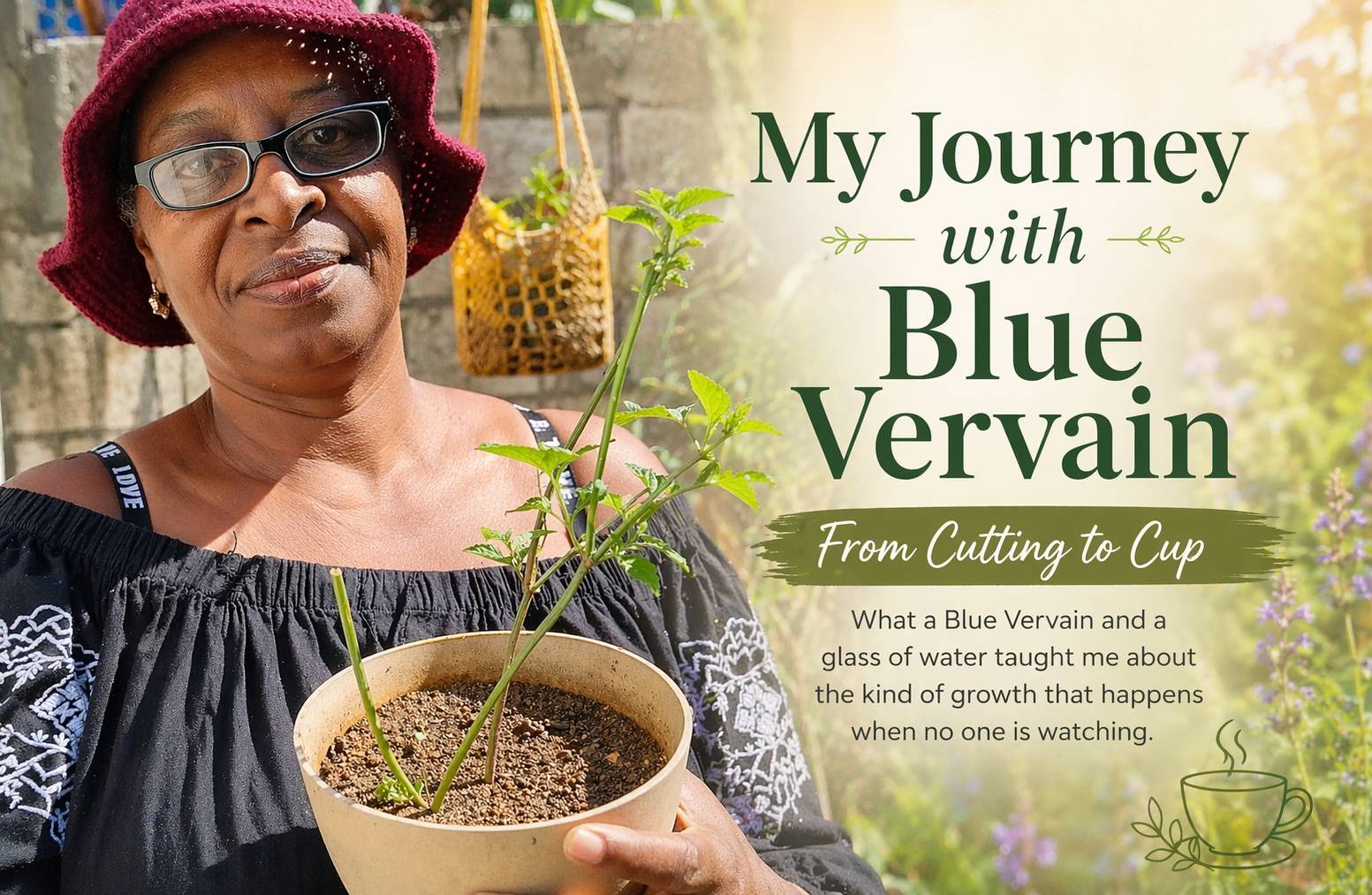 My Journey with Blue Vervain: From Cutting to Cup