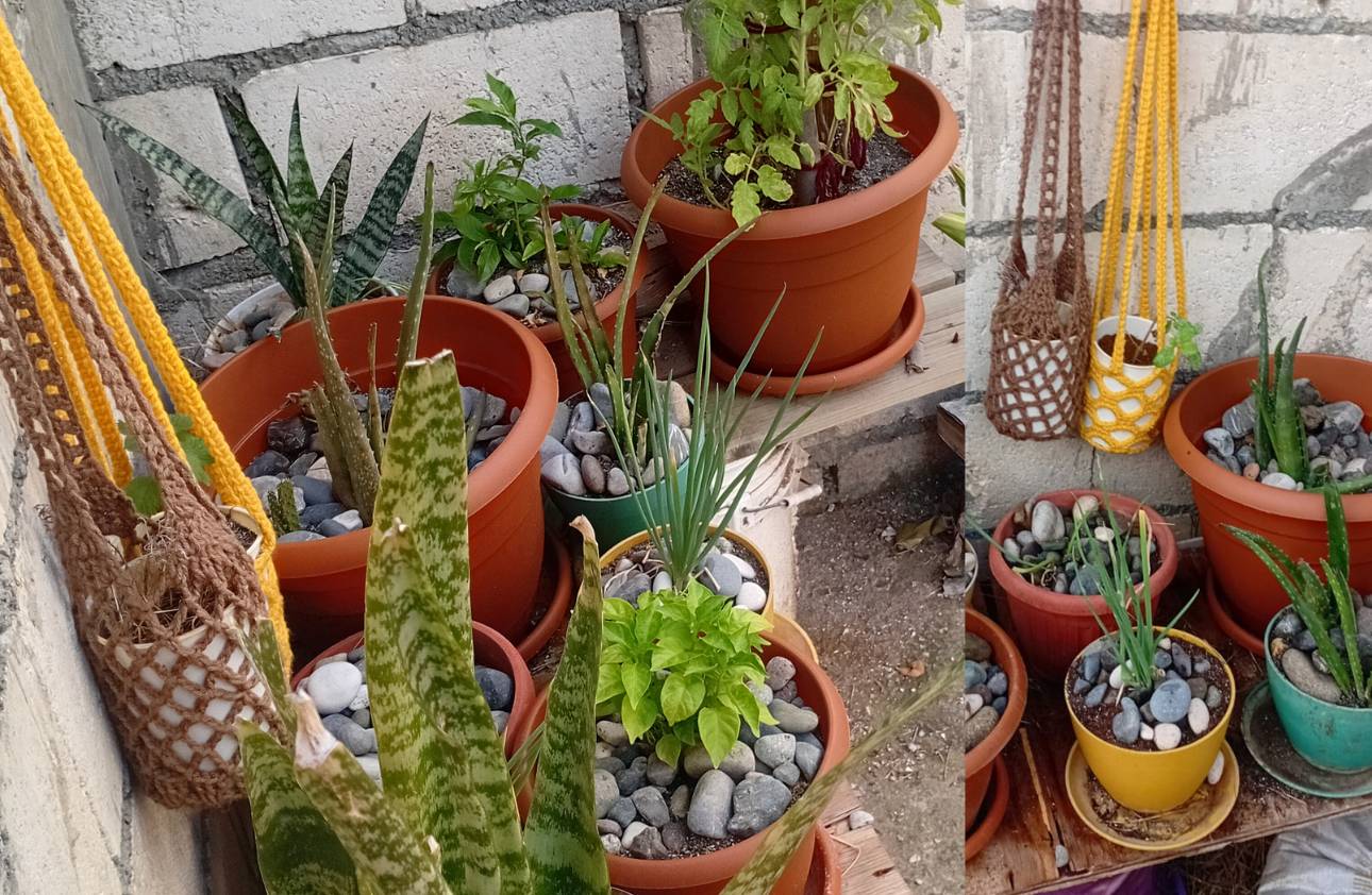 My Recommended Tools, Herbs & Lifestyle Essentials | Garden Essentials