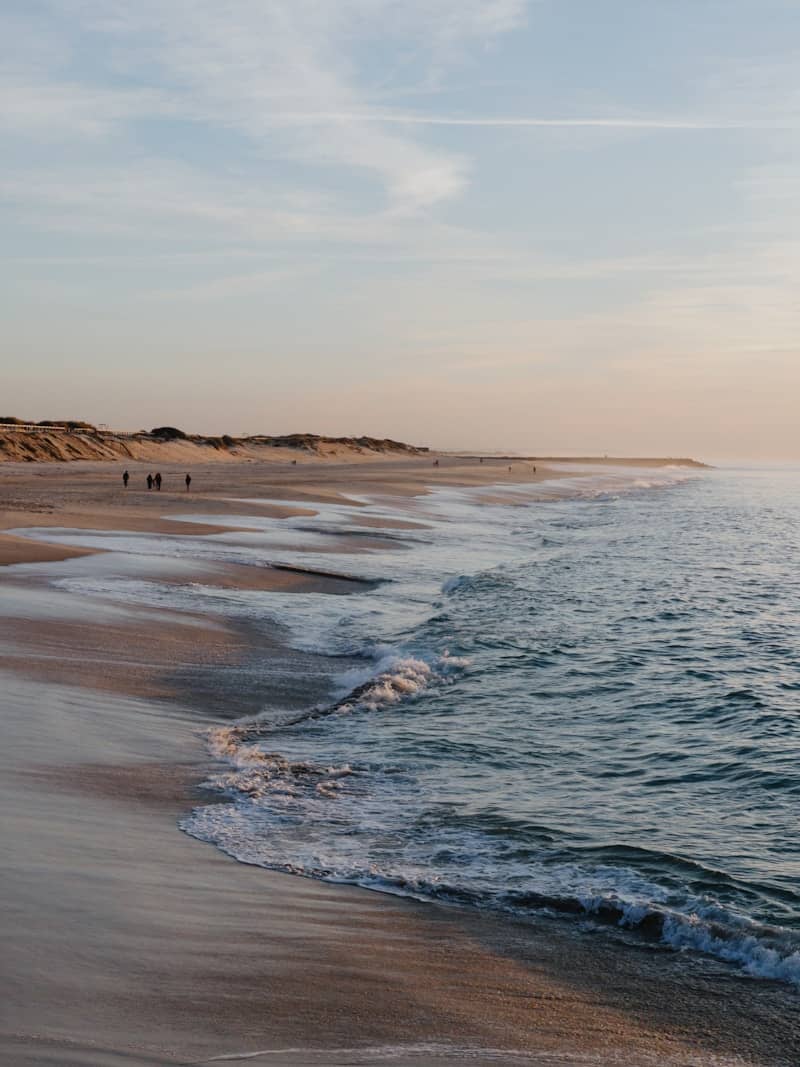 A group of people walking along a beach next to the ocean