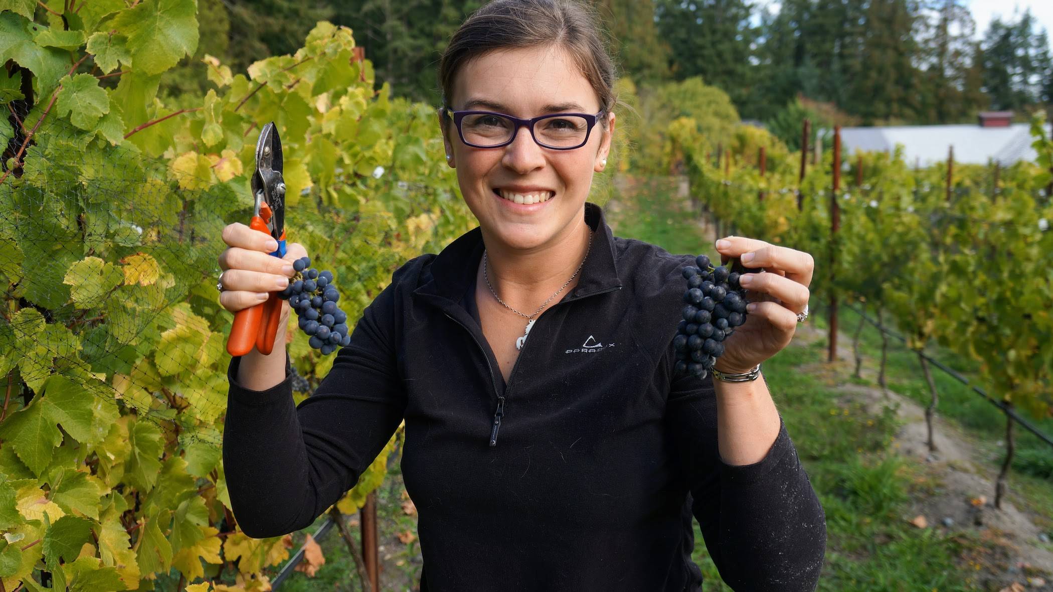 🤑 Workamping Explained Seasonal Jobs for RVers! SUNDAY MORTON POST Mortons on the Move