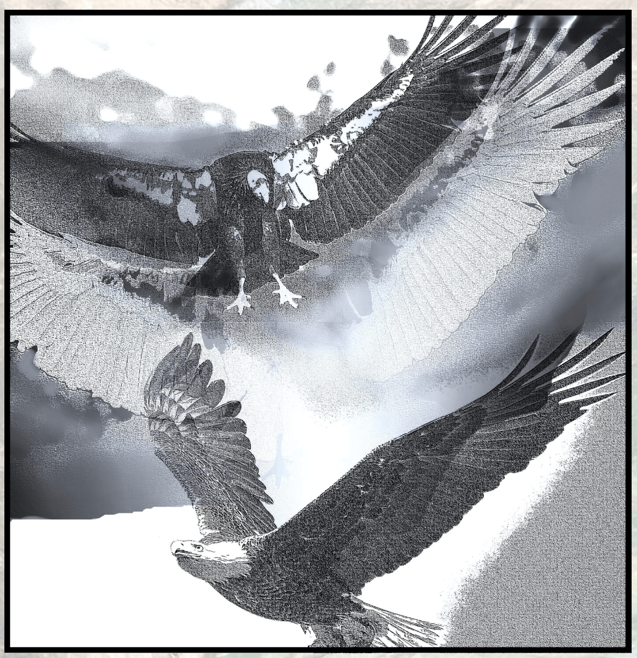 Black and white pointillism of a condor flying above an eagle as drawn by Lauren Raine and published in Roses&Wildflowers.