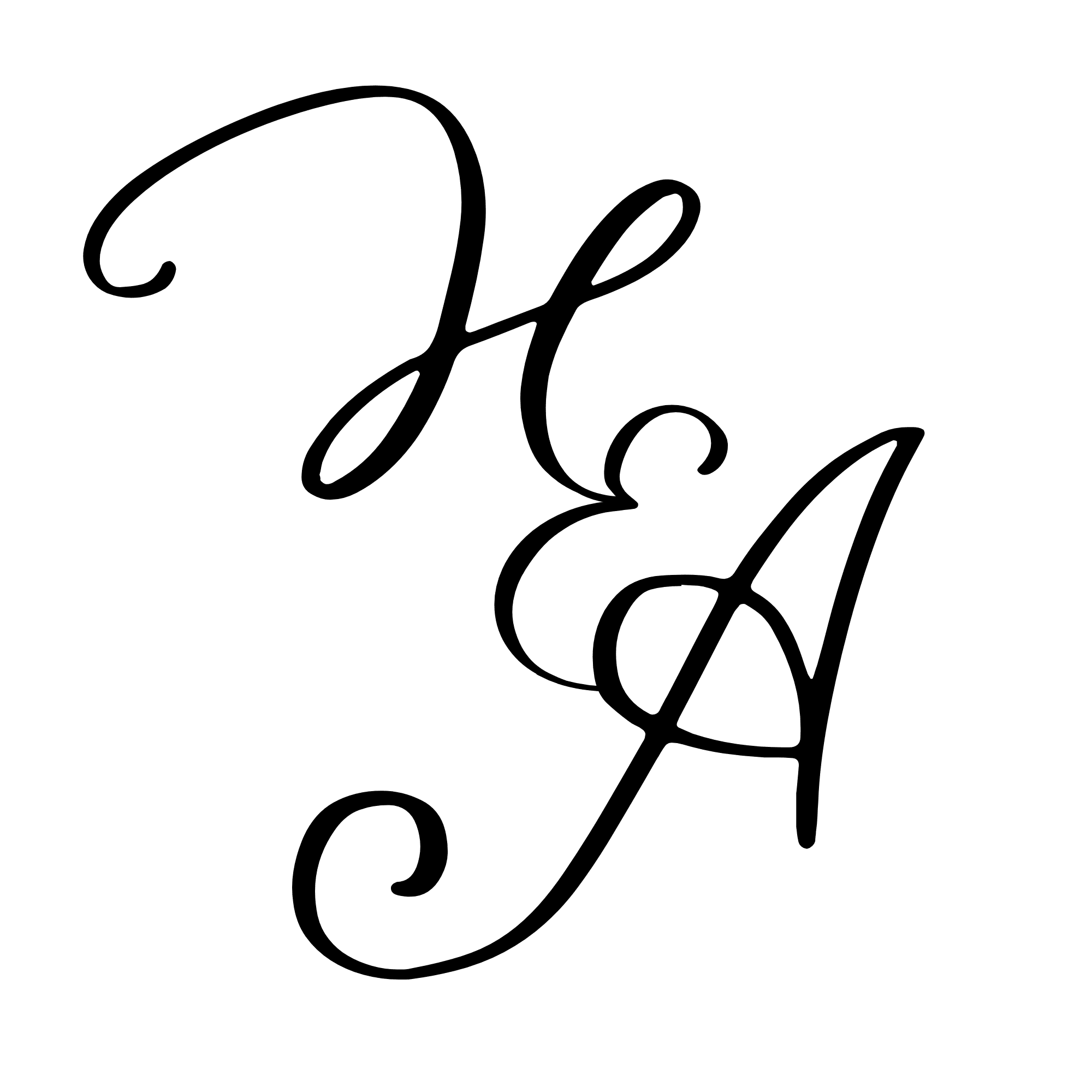 profile