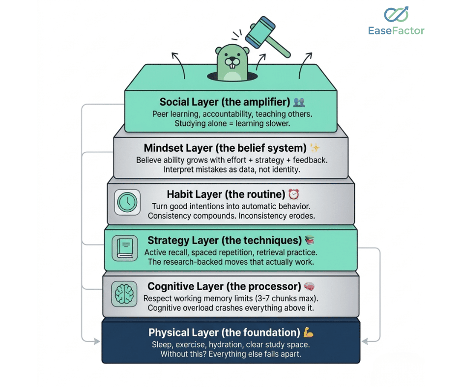 The Study OS Stack—a six-layer model (Physical ? Cognitive ? Strategy ? Habit ? Mindset ? Social) where fixing the lowest broken layer first causes the layers above it to self-correct