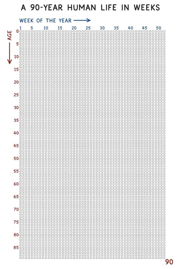 Screenshot 2024-12-19 at 11.45.11 AM.png