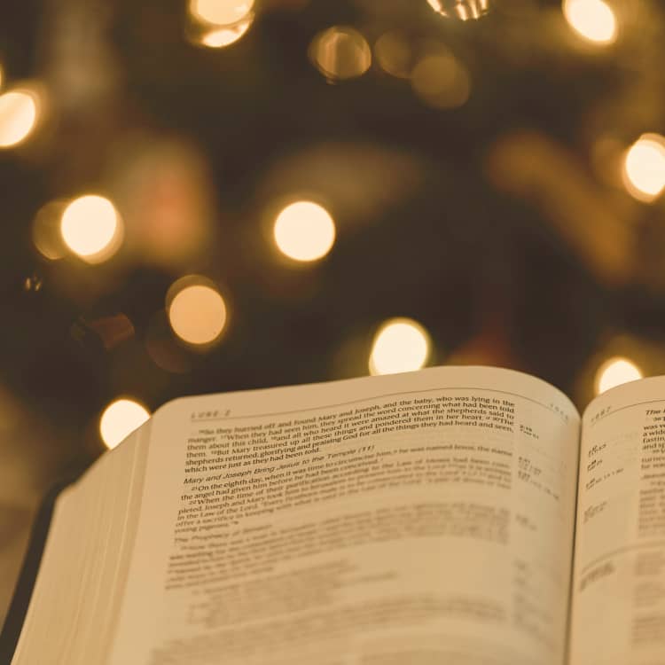 Bible open to Luke 2 with Christmas tree in the background