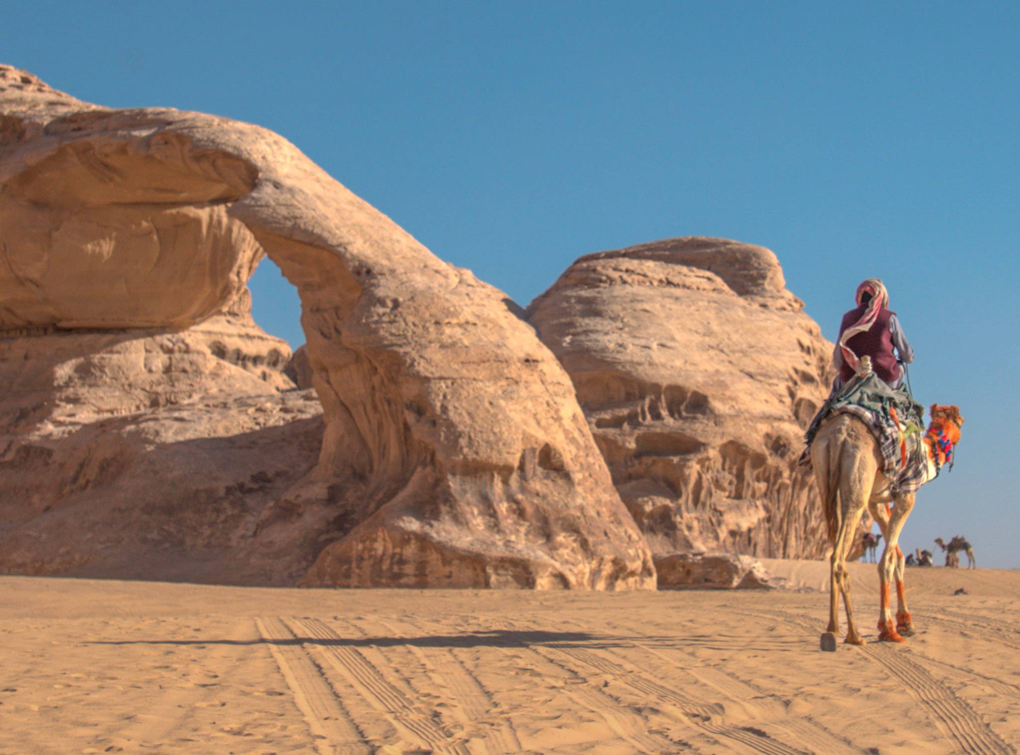 man on a camel in a desert and blue skies