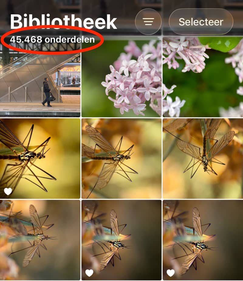 Fotobibliotheek