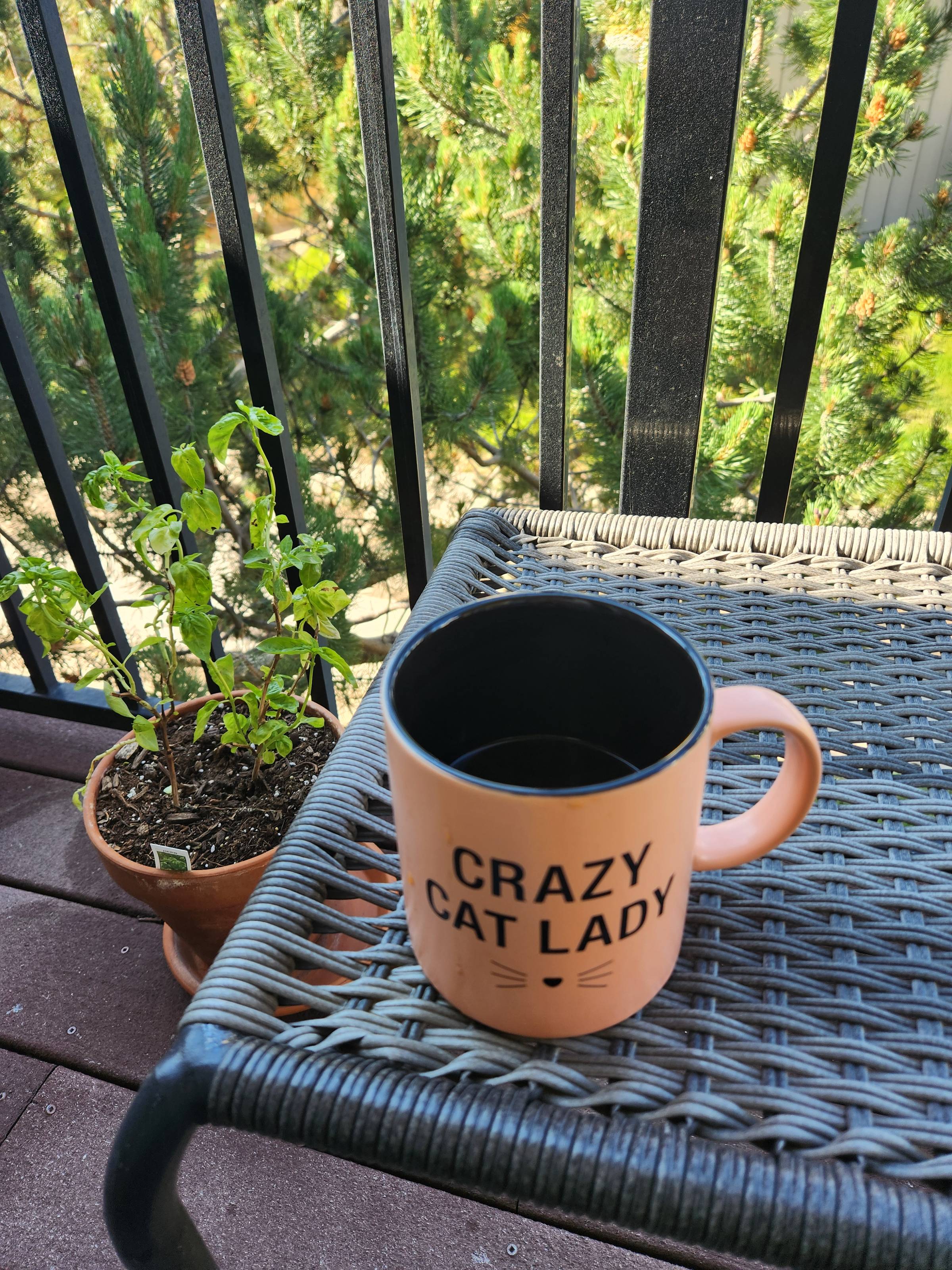 Basking in the morning stillness