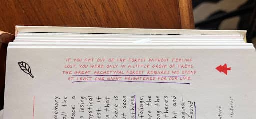 Open book featuring a highlighted quote about finding your way out of the forest and recognizing that the journey may require more time and effort.
