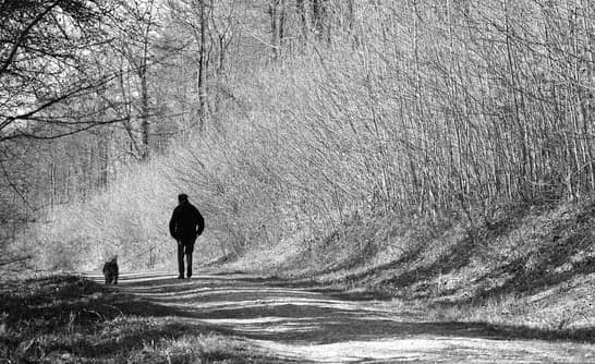 Walking The Charts With Rudy Hunter