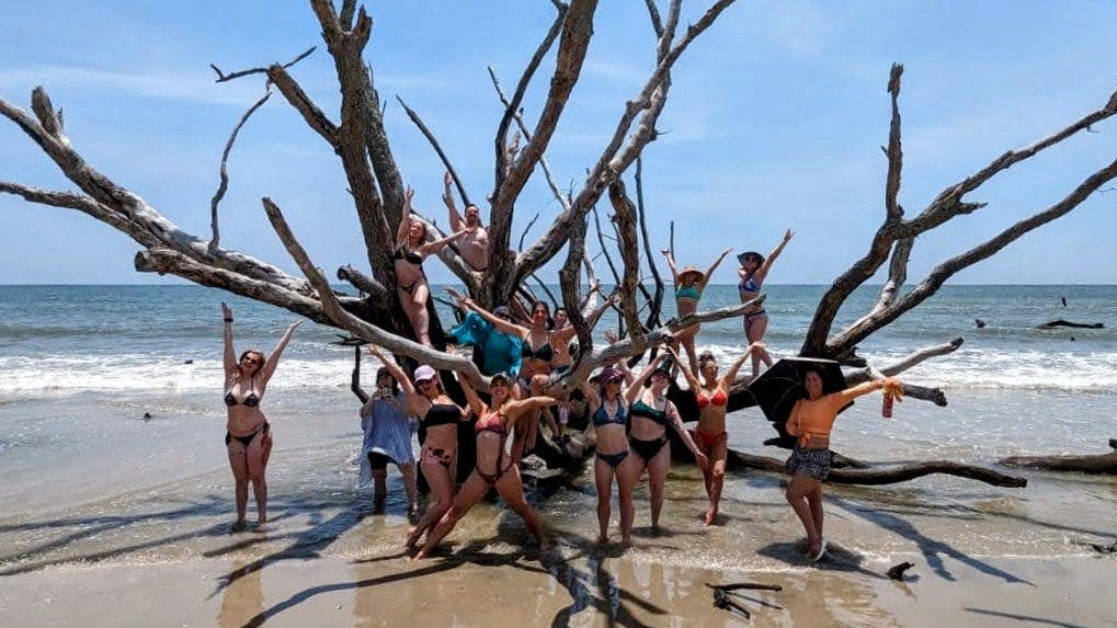 a group of people on a beach in front of a large driftwood tree