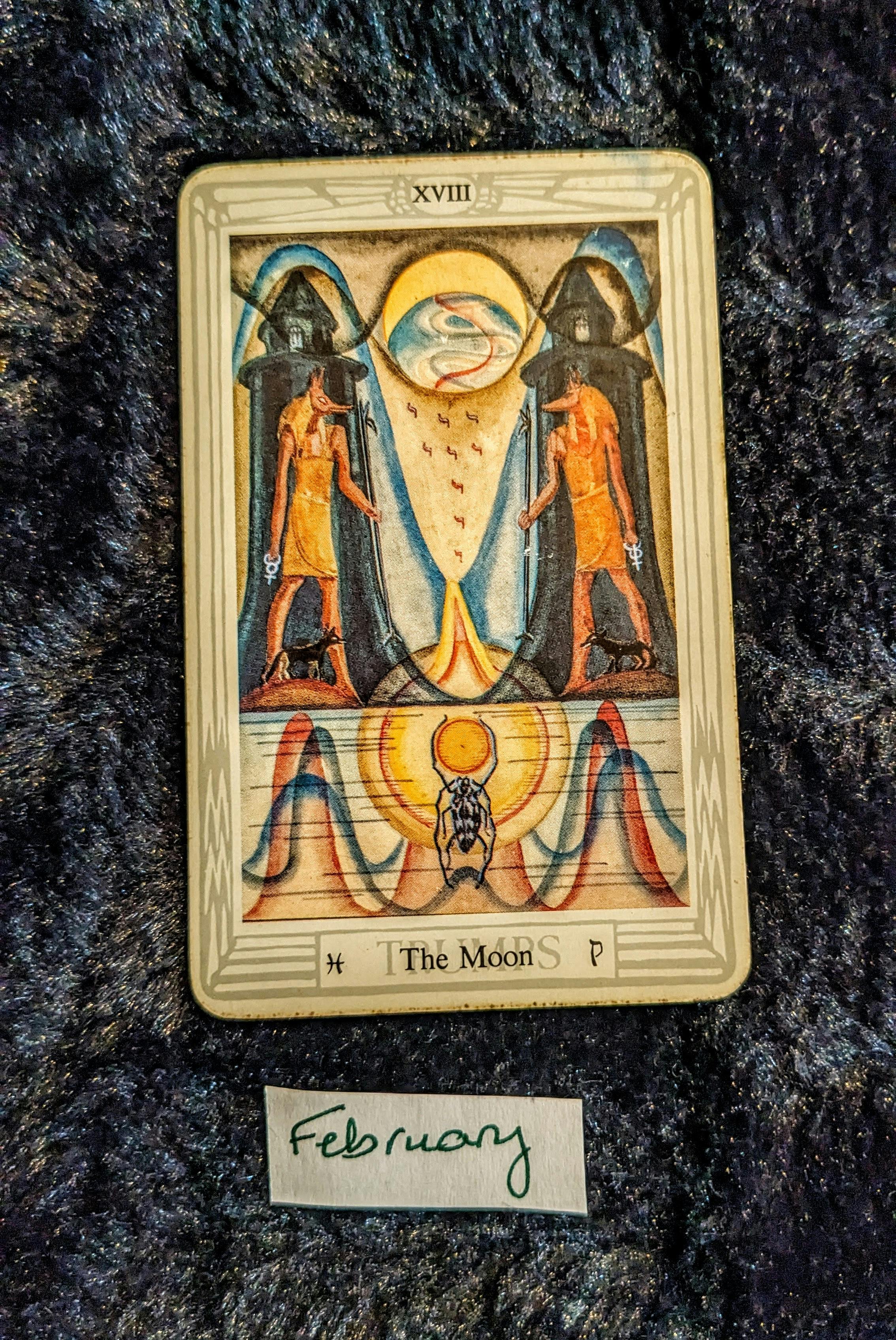 a photo of major arcana card number 18: the Moon, on a black fur background.  Underneath the card, a handwritten slip of paper reads "February".  The card contains an image of two Egyptian jackals facing each other, as well as a scarab beetle embracing a sun at the base of the card