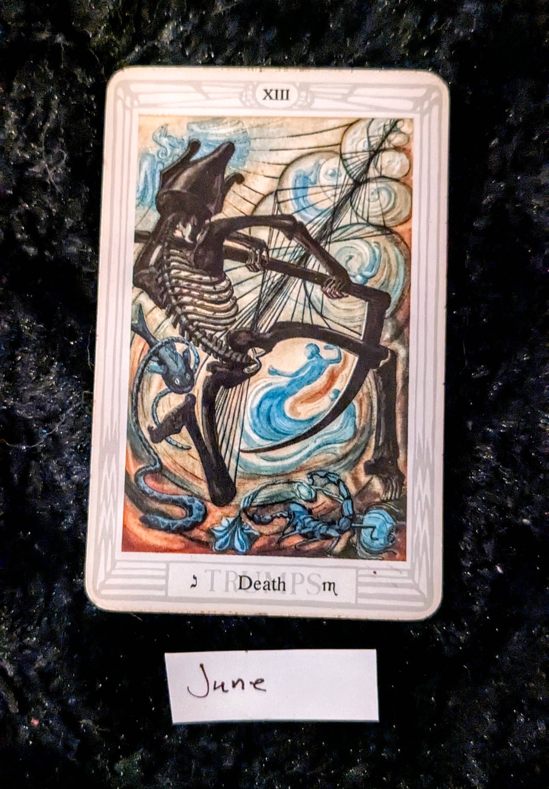 the death card from tarot against a black fur background