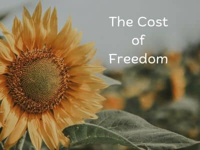 The Cost of Freedom
