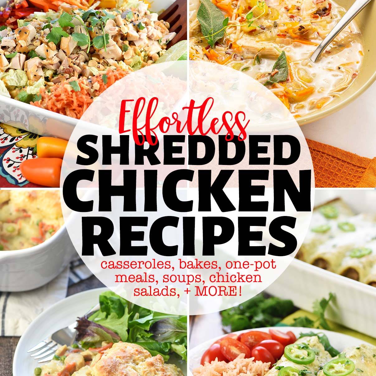 Shredded chicken recipes round-up.