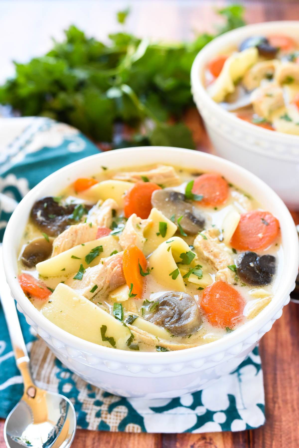 Slow cooker chicken noodle soup.