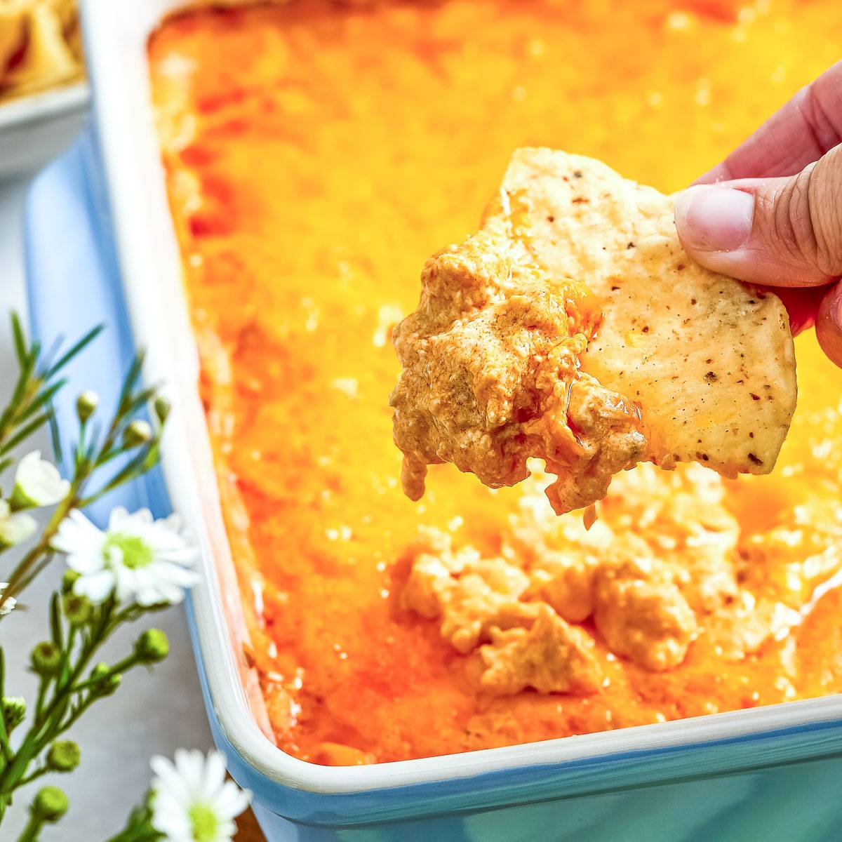 Cottage Cheese Buffalo Chicken Dip.