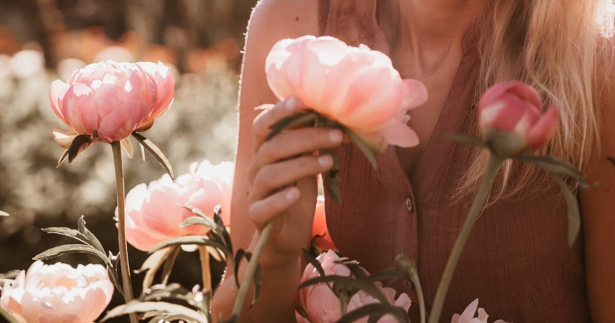 second bloom sundays issue 1.