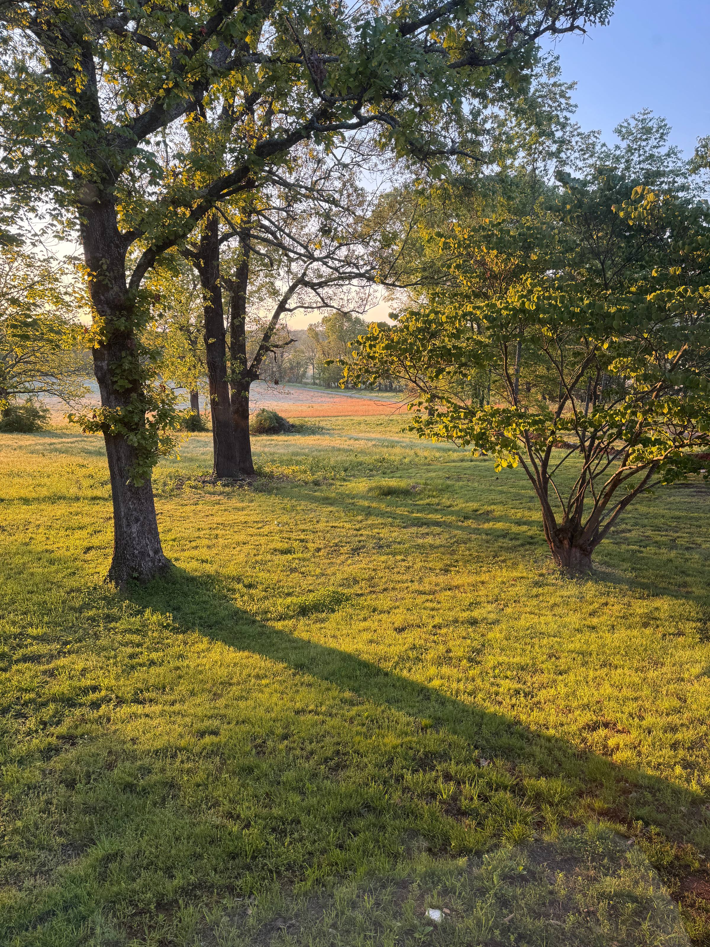 morning view from our living room.