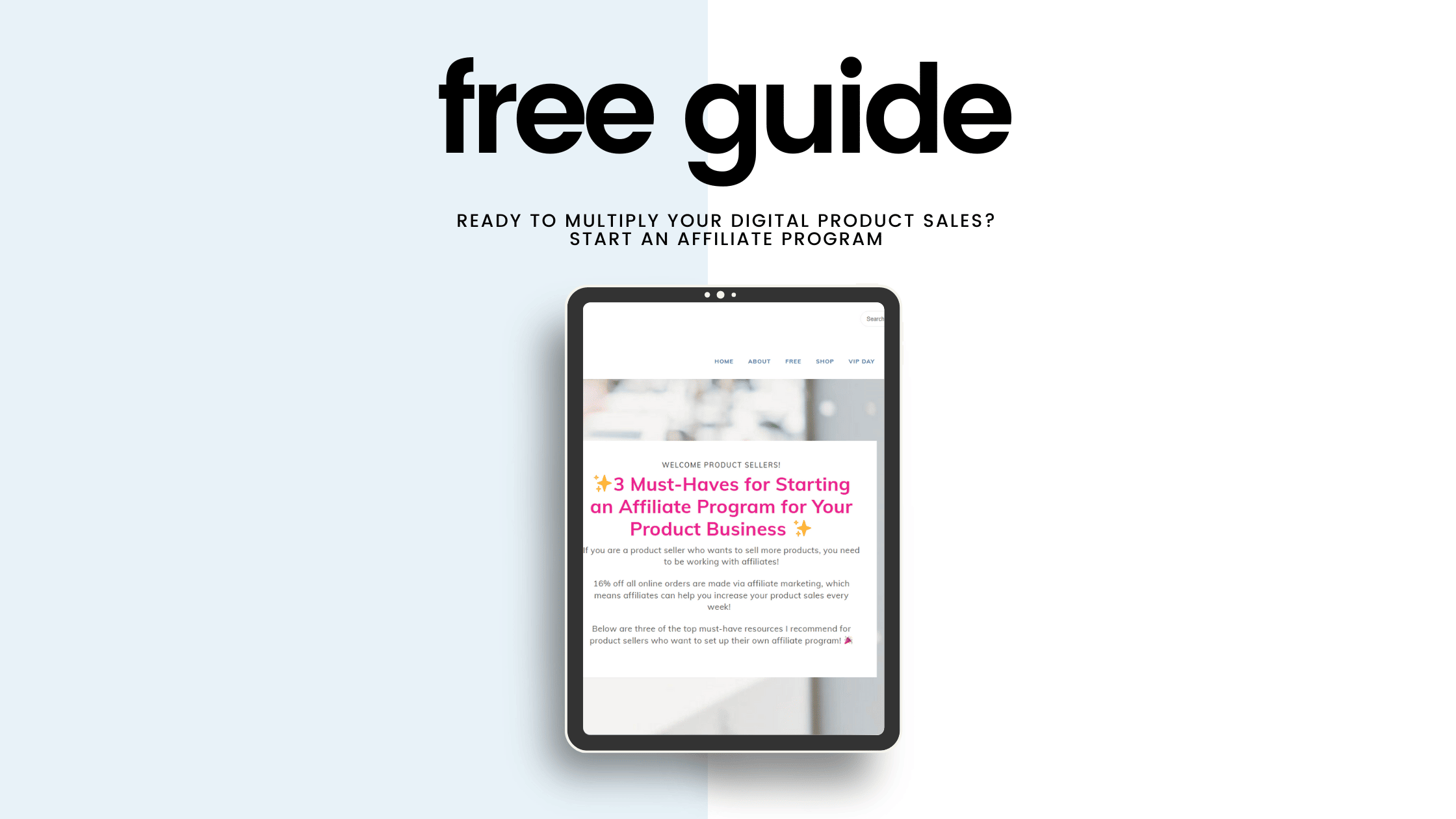 Affiliate Free Guide