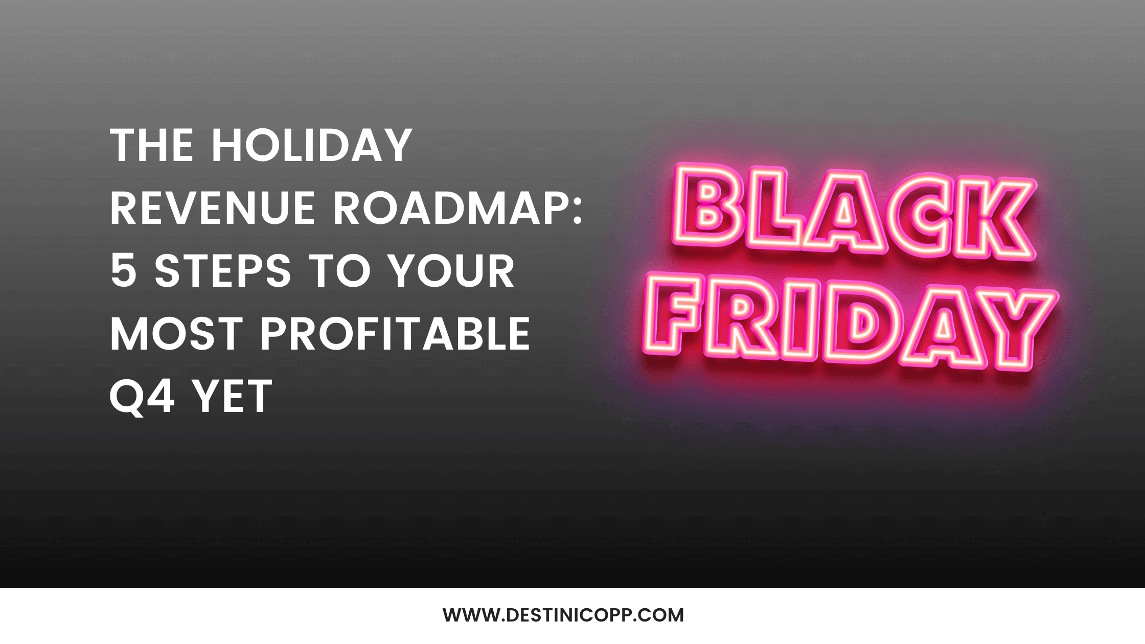 235: The Holiday Revenue Roadmap: 5 Steps to Your Most Profitable Q4 Yet