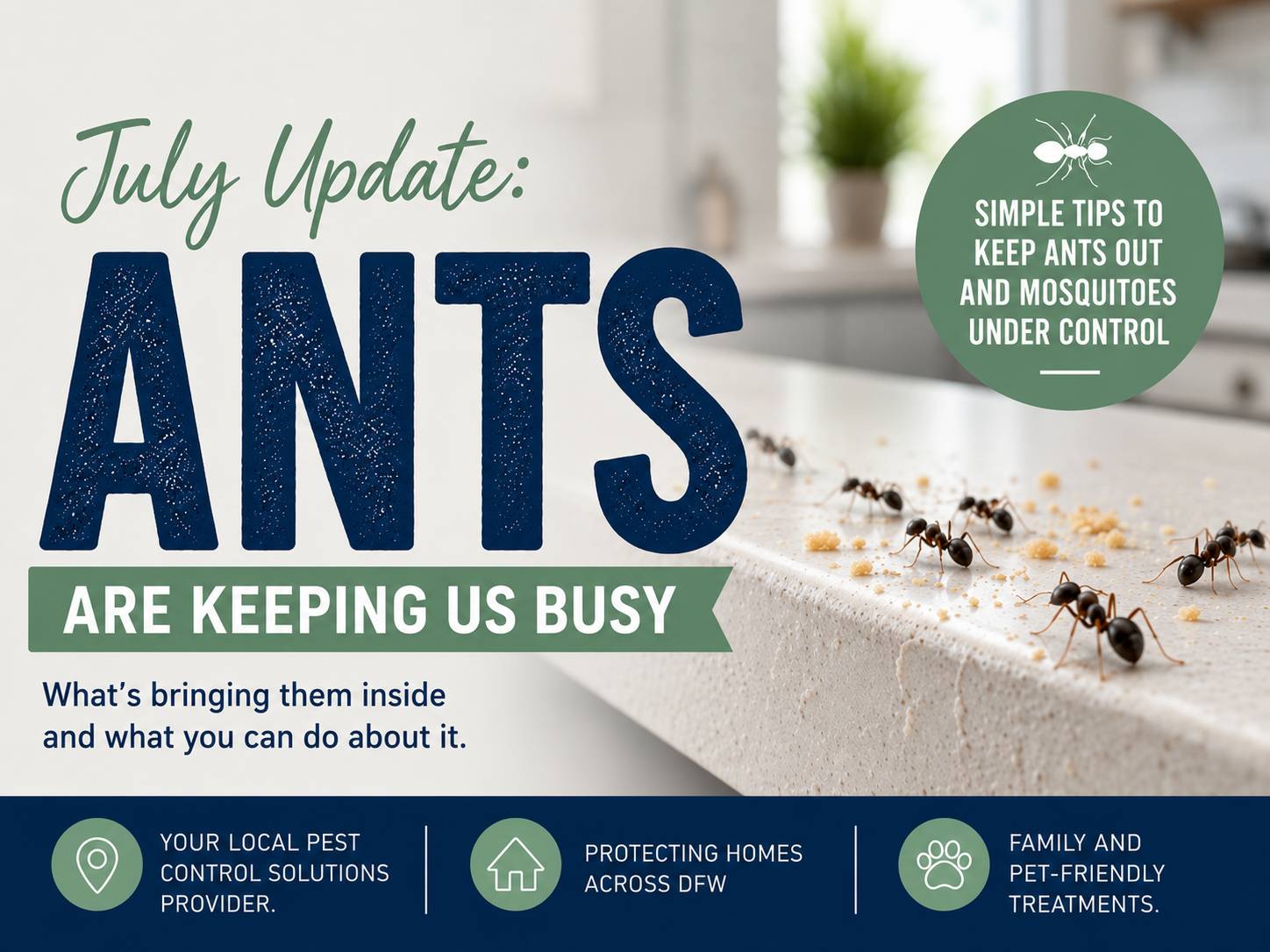 July Update: Ants