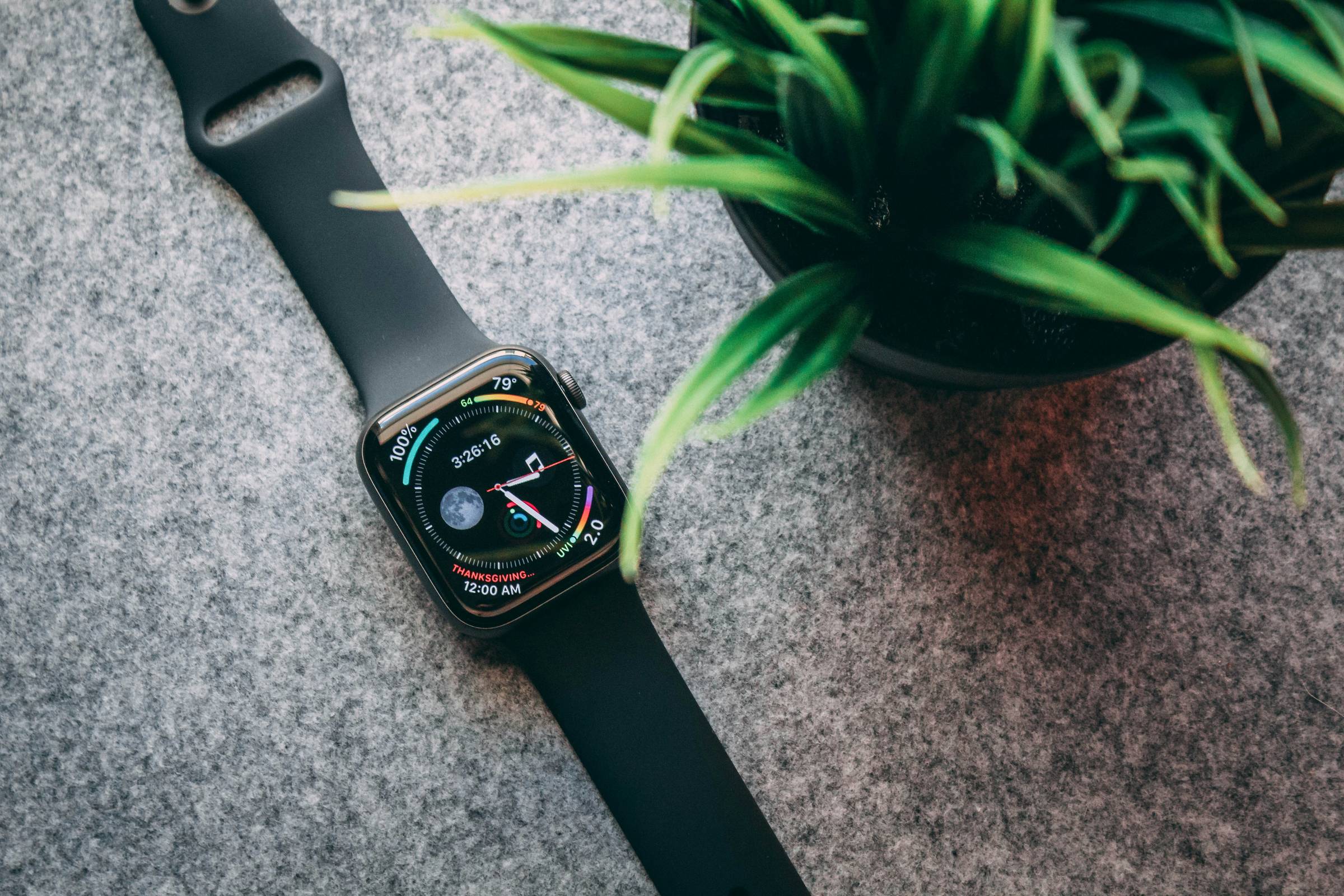 Smartwatch displaying health and fitness data next to a green plant.